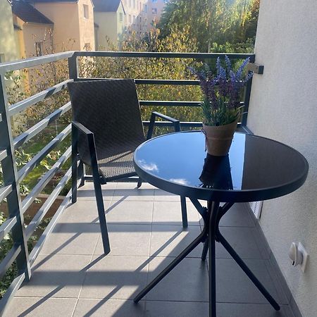 Cerna Ruze- Apartman 5 Plzeň Extérieur photo