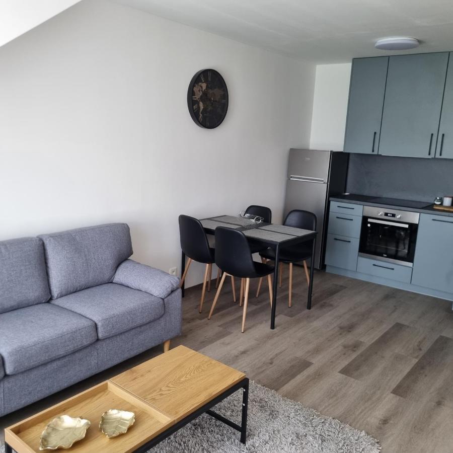 Cerna Ruze- Apartman 5 Plzeň Extérieur photo