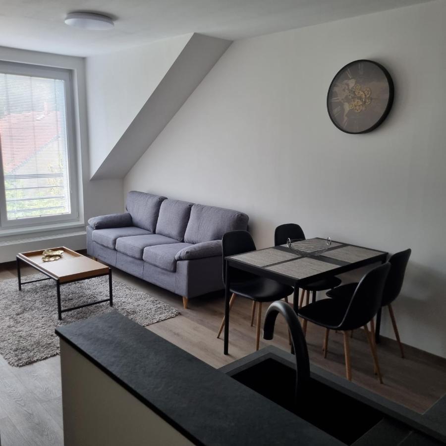 Cerna Ruze- Apartman 5 Plzeň Extérieur photo