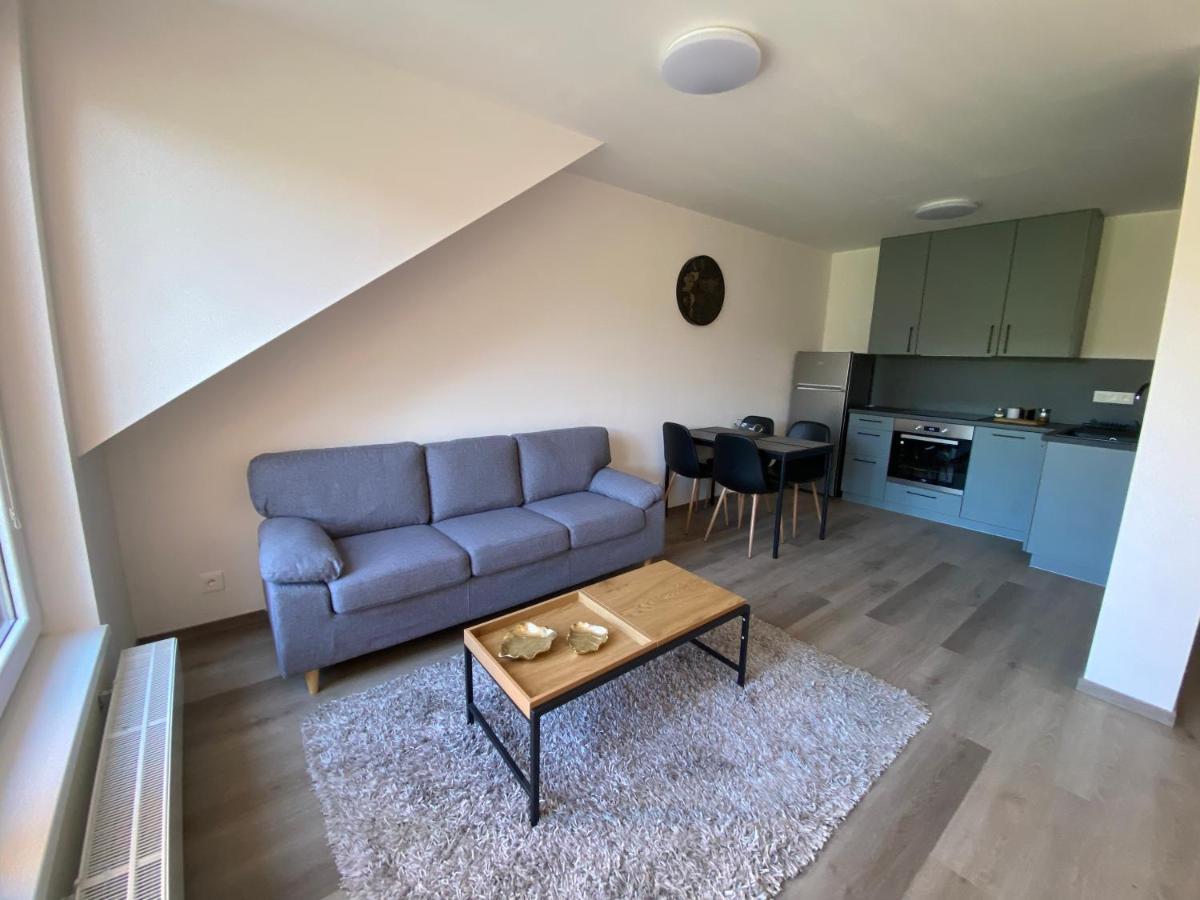 Cerna Ruze- Apartman 5 Plzeň Extérieur photo