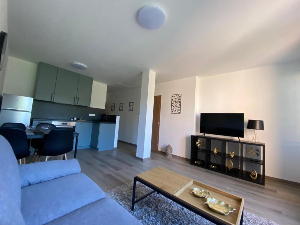 Cerna Ruze- Apartman 5 Plzeň Extérieur photo