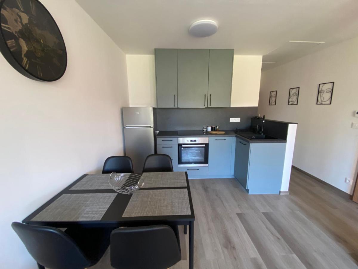 Cerna Ruze- Apartman 5 Plzeň Extérieur photo