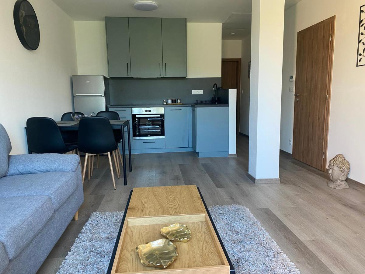 Cerna Ruze- Apartman 5 Plzeň Extérieur photo