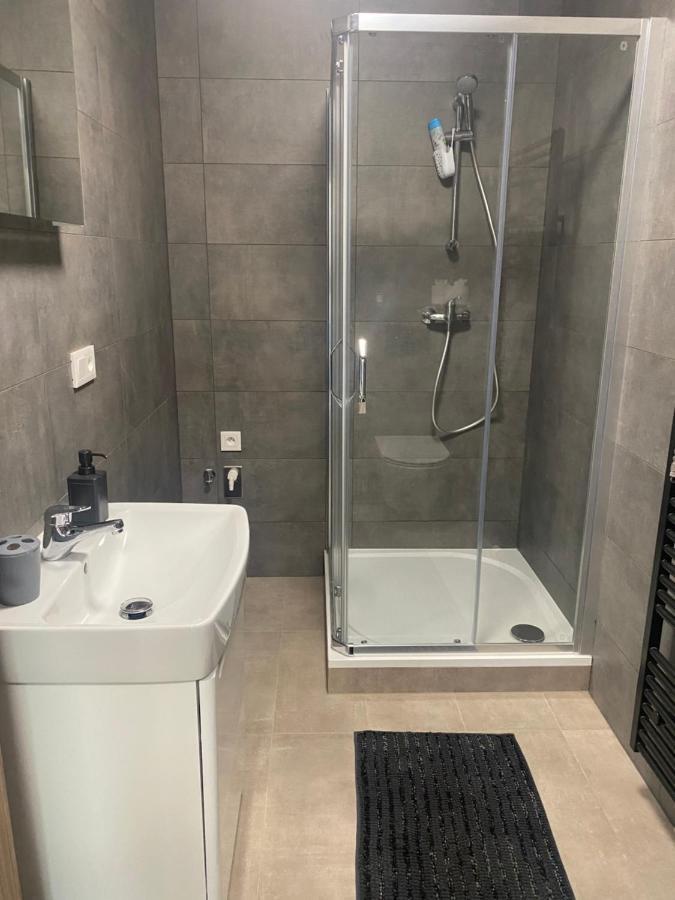 Cerna Ruze- Apartman 5 Plzeň Extérieur photo