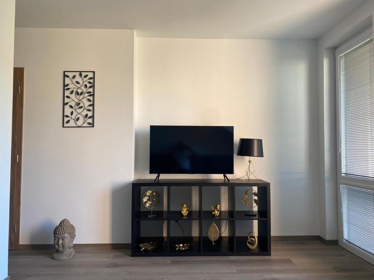 Cerna Ruze- Apartman 5 Plzeň Extérieur photo