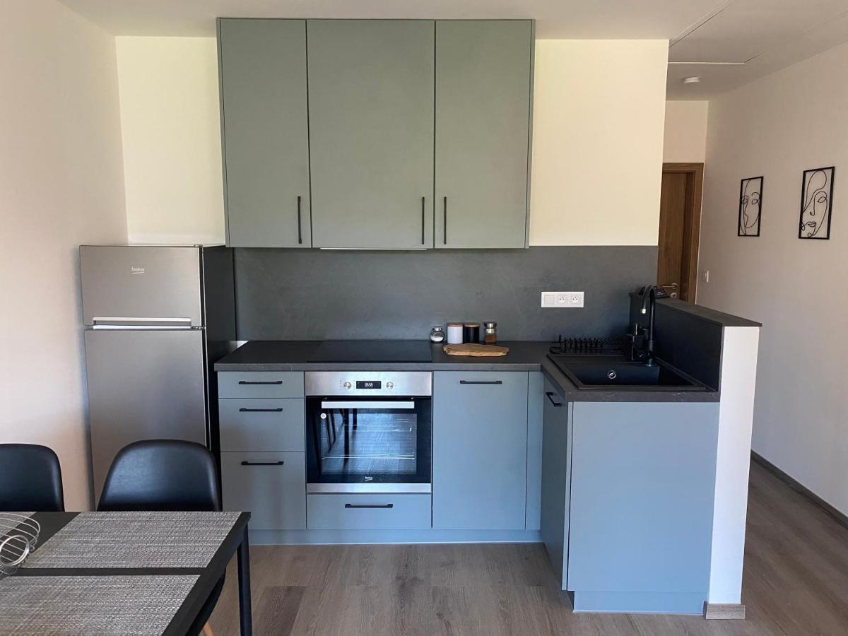 Cerna Ruze- Apartman 5 Plzeň Extérieur photo