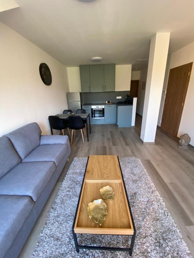 Cerna Ruze- Apartman 5 Plzeň Extérieur photo