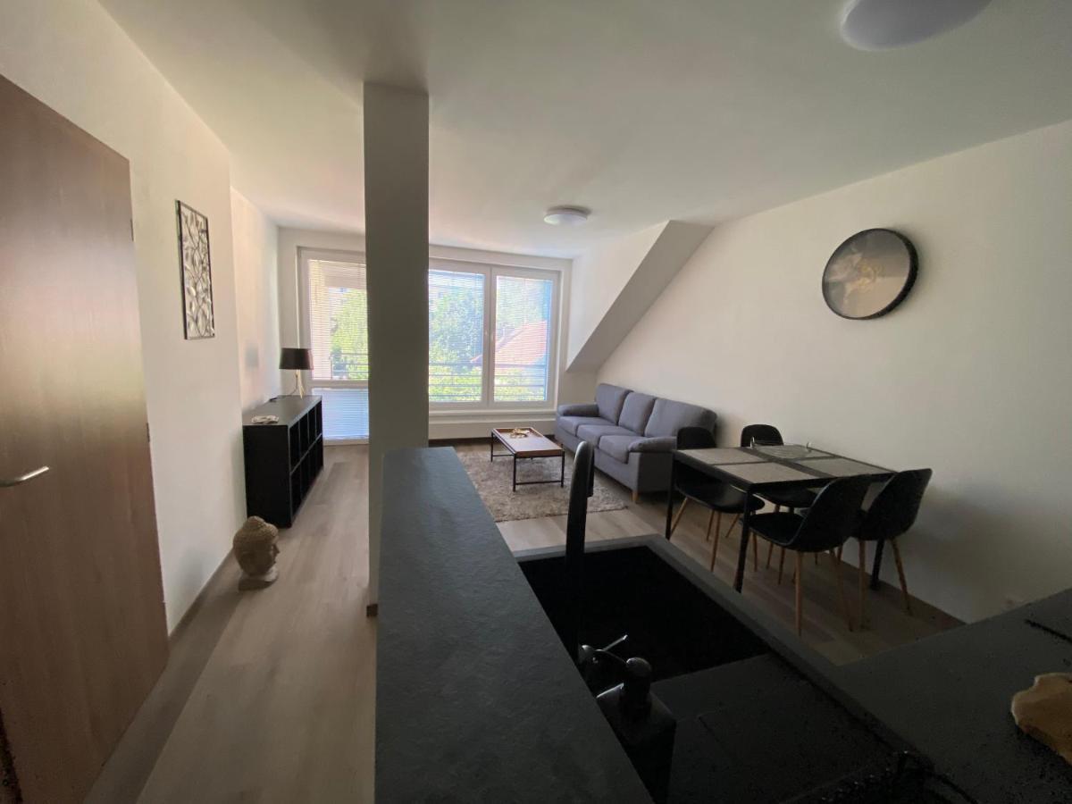 Cerna Ruze- Apartman 5 Plzeň Extérieur photo